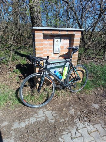 Used Bianchi Via Nirone Sora 2017 2017 Road & Gravel