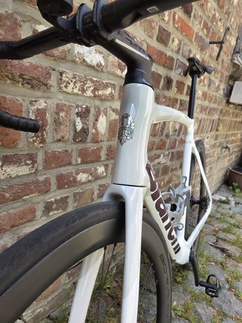 Used Bianchi Oltre Campagnolo Super Record EPS 2025 Road & Gravel, White — image 16 of 19