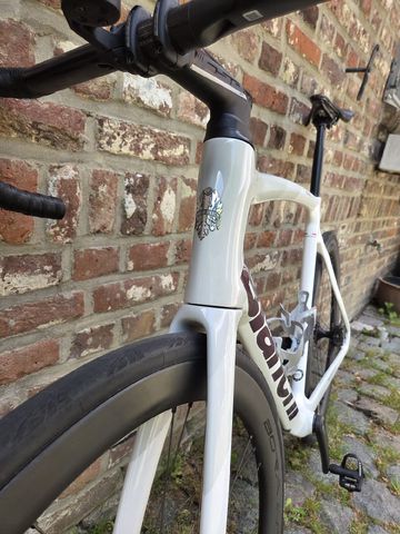 Bianchi Oltre Campagnolo Super Record EPS 2025 Road & Gravel usato, Bianco — immagine 16 di 19