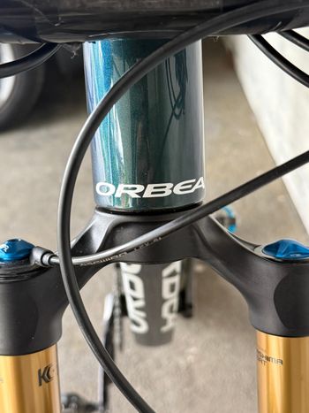 Used Orbea OIZ M-TEAM FACTORY 2025 2025 Mountainbike, Green, 29 — image 11 of 30
