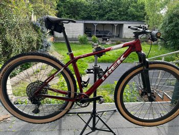 Used Trek Procaliber 9.9 SL 2019 2019 MTB
