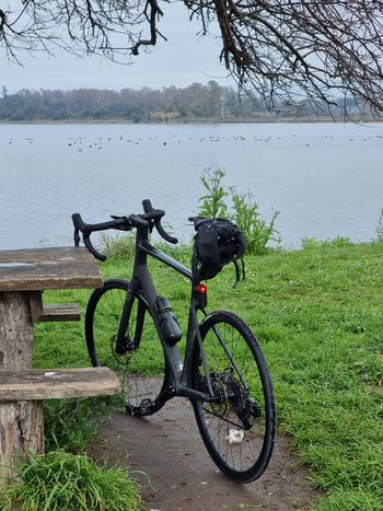 Used Scott Addict 10 2023 2023 Road & Gravel, Black — image 5 of 8