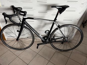 Used Radon SAGE CARBON ULTEGRA 2017 2017 Road & Gravel