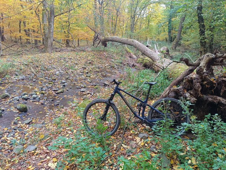 Used Norco Fluid FS A2 2023 2023 Mountainbike, Blue — image 3 of 4