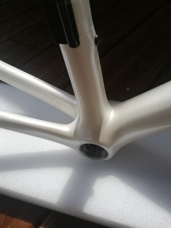 Used Specialized Specialized Custom Frameset 2025 Road & Gravel, White — image 6 of 6