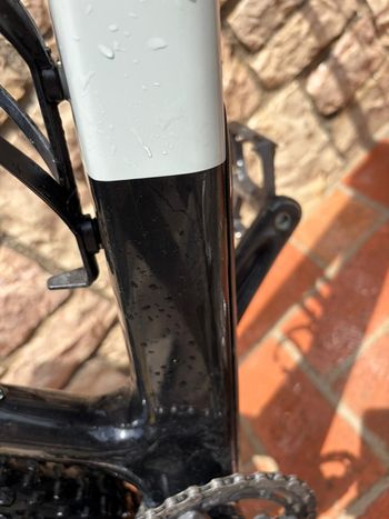 Used Focus Raven Shimano Deore XT 2025 Mountainbike, Light Gray — image 3 of 7