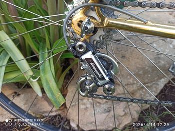 Used SCAPIN SCAPIN Custom Campagnolo Record 1990 Road & Gravel, Green — image 3 of 8