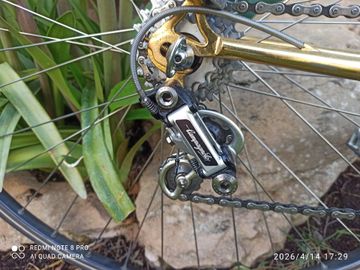 Used SCAPIN Custom Campagnolo Record 1990 Road & Gravel, Green — image 3 of 8