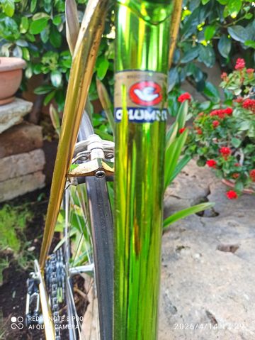Used SCAPIN Custom Campagnolo Record 1990 Road & Gravel, Green — image 7 of 8