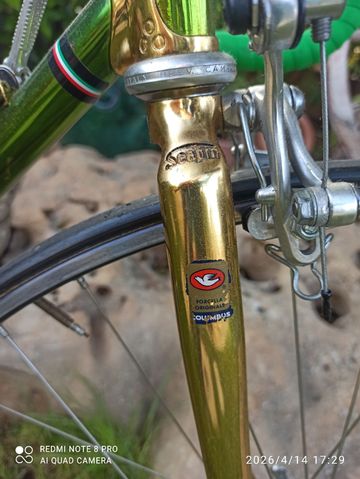 Used SCAPIN Custom Campagnolo Record 1990 Road & Gravel, Green — image 5 of 8