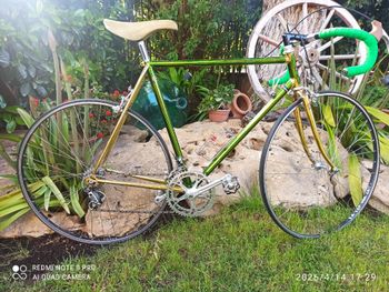 Used SCAPIN SCAPIN Custom Campagnolo Record 1990 Road & Gravel