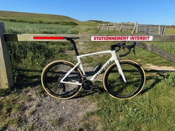 Used Specialized Tarmac SL7 Pro - SRAM Force eTap AXS 2023 2023 Road & Gravel, White — image 3 of 3