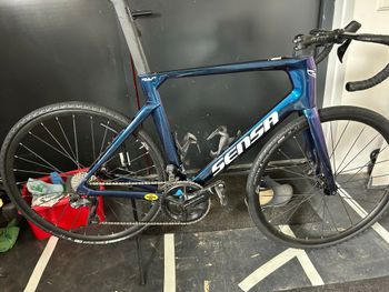 Used Sensa Giulia Supremo Black Deal Ultegra Di2 2025 2025 Road & Gravel, Blue — image 9 of 10