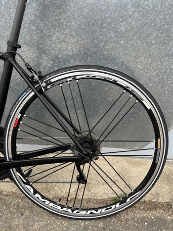 Used Canyon Endurace AL 7.0 2019 2019 Road & Gravel, Black — image 5 of 11