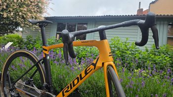 Used Ridley Noah Fast Disc - Shimano Ultegra DI2 2x12sp 2023 2023 Road & Gravel, Orange — image 12 of 17