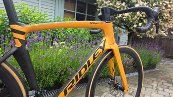 Used Ridley Noah Fast Disc - Shimano Ultegra DI2 2x12sp 2023 2023 Road & Gravel, Orange — image 3 of 17