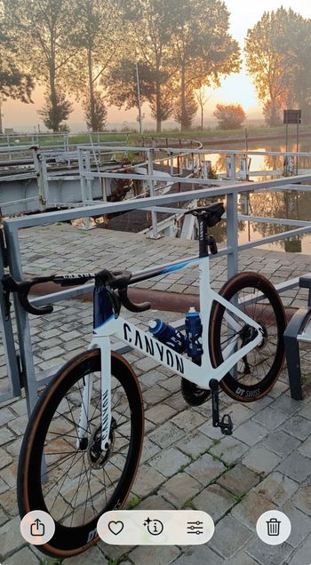 Used Canyon Aeroad Frameset 2026 Road & Gravel, White — image 2 of 4