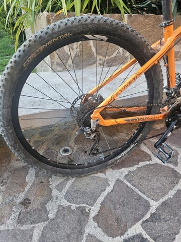Olympia Drake 2020 Mountainbike usato, Arancione — immagine 5 di 8