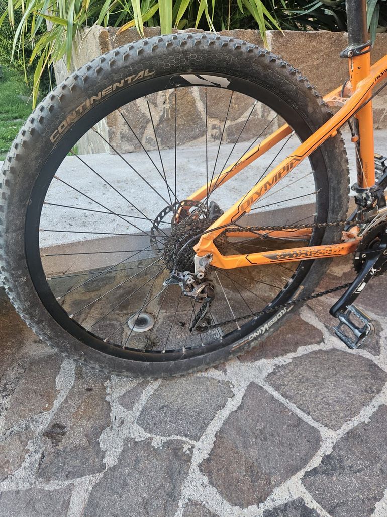 Used Olympia Olympia Drake 2020 Mountainbike, Orange — image 5 of 8