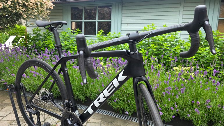 Used Trek Émonda SL 7 2024 2024 Road & Gravel, Black — image 12 of 17