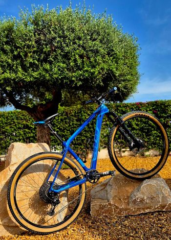 Used Willier Willier Custom Shimano Deore XT 2015 Mountainbike, Blau — image 2 of 8