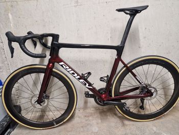 Used Ridley Falcn RS - Shimano Ultegra DI2 2x12sp 2025 2025 Road & Gravel
