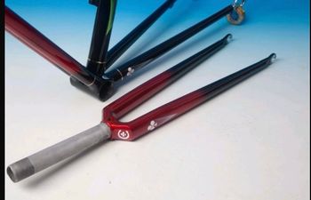 Used Colnago CARBiTUBO Frameset 1992 Road & Gravel, Rot — image 12 of 17
