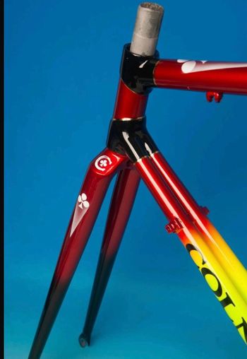 Used Colnago CARBiTUBO Frameset 1992 Road & Gravel, Rot — image 11 of 17
