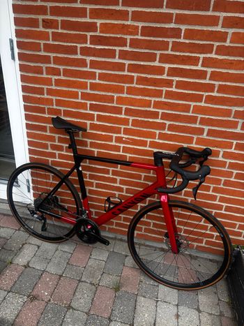 Used Canyon Ultimate CF SL 7 2025 2025 Road & Gravel — image 2 of 6