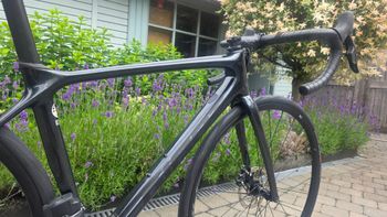 Used Giant TCR Advanced Pro Disc 1 AXS 2024 2024 Road & Gravel, Black — image 3 of 17
