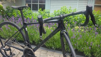 Used Giant TCR Advanced Pro Disc 1 AXS 2024 2024 Road & Gravel, Black — image 12 of 17