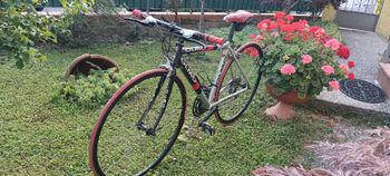 Used Olmo Olmo Custom Shimano 105 2000 Road & Gravel, Hellgrau — image 8 of 8