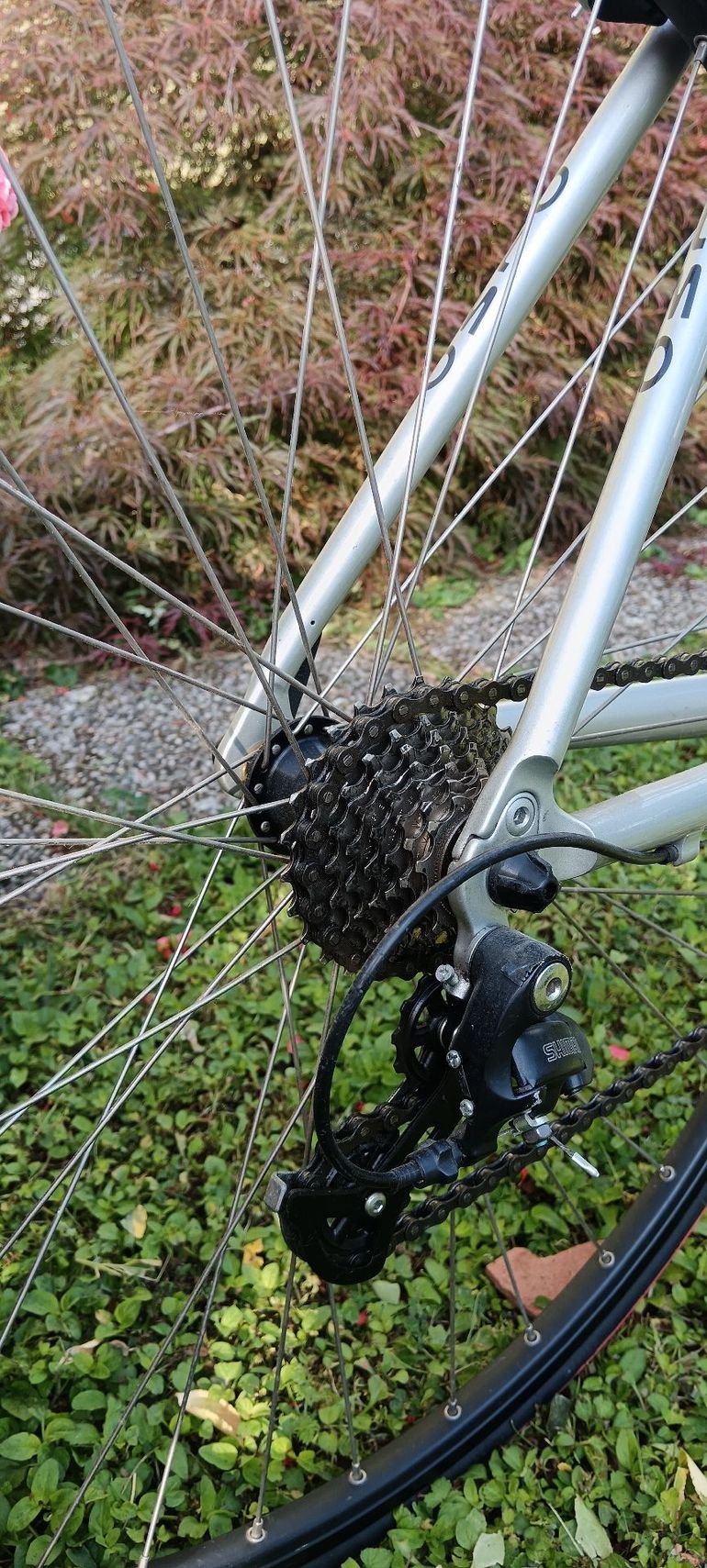 Used Olmo Olmo Custom Shimano 105 2000 Road & Gravel, Hellgrau — image 4 of 8