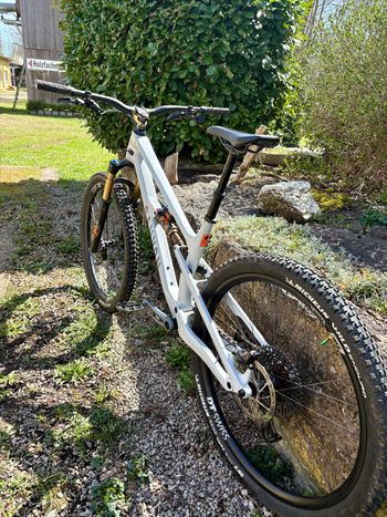 Used Canyon Spectral 125 CF 9 2023 2023 Mountainbike, Light Gray, 29 — image 6 of 6