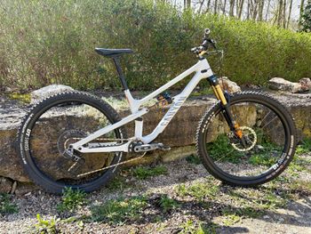 Used Canyon Spectral 125 CF 9 2023 2023 MTB