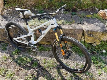 Used Canyon Spectral 125 CF 9 2023 2023 Mountainbike, Light Gray, 29 — image 5 of 6