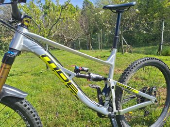 Tweedehands MDE Damper Race 29 2021 Frameset 2021 MTB