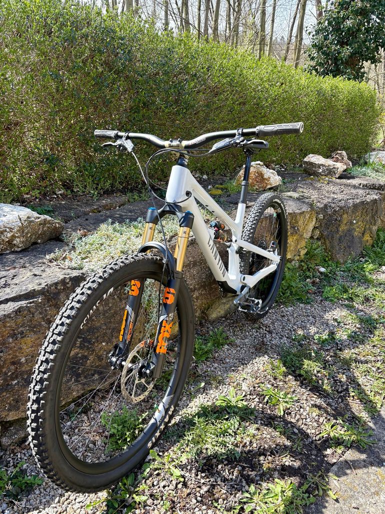 Used Canyon Spectral 125 CF 9 2023 2023 Mountainbike, Light Gray, 29 — image 4 of 5