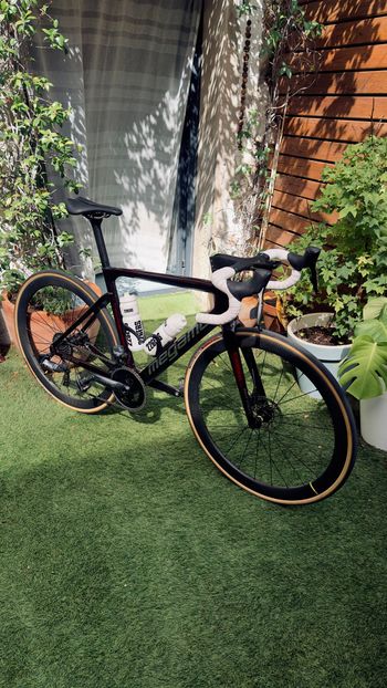 Used Megamo PULSE ELITE AXS 09 2023 2023 Road & Gravel, Rot — image 3 of 6