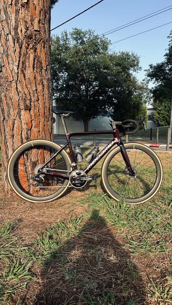 Used Megamo PULSE ELITE AXS 09 2023 2023 Road & Gravel, Rot — image 4 of 6