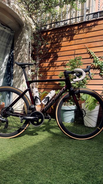 Used Megamo PULSE ELITE AXS 09 2023 2023 Road & Gravel