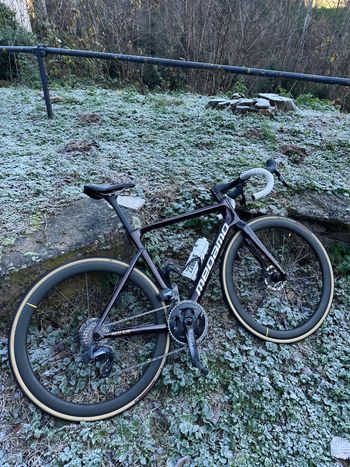 Used Megamo PULSE ELITE AXS 09 2023 2023 Road & Gravel, Rot — image 6 of 6