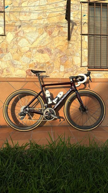 Used Megamo PULSE ELITE AXS 09 2023 2023 Road & Gravel, Rot — image 2 of 6