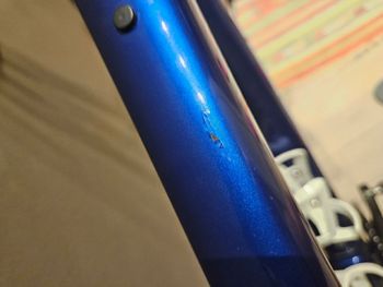 Used Trek Domane SL 6 Gen 4 2024 2024 Road & Gravel, Blau — image 5 of 5