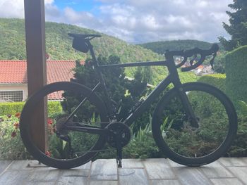 Used Focus Izalco Shimano 105 2025 Road & Gravel