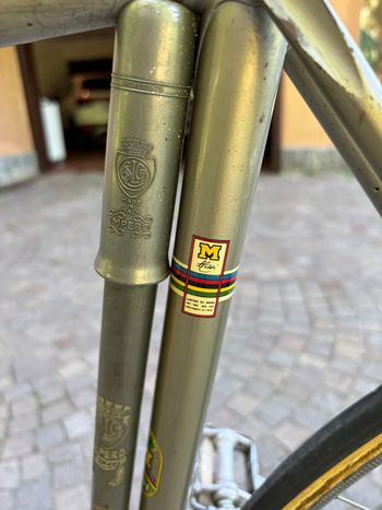 Used Masi Gran Other Campagnolo 1975 Road & Gravel, Orange — image 7 of 7