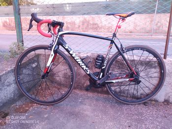 Used Specialized Tarmac Telaio 2012 2012 Road & Gravel