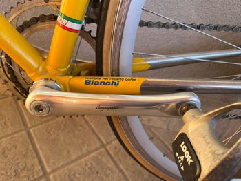 Used Bianchi Campione Campagnolo Veloce 1995 Road & Gravel, Orange — image 12 of 21