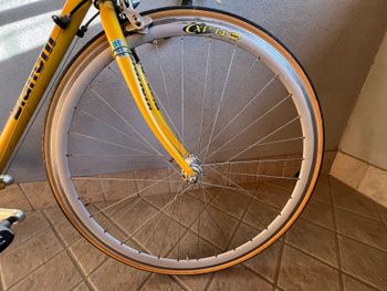 Used Bianchi Campione Campagnolo Veloce 1995 Road & Gravel, Orange — image 7 of 21
