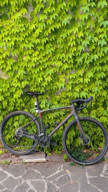 Used Giant Revolt, Advanced 3 2021 2021 Road & Gravel